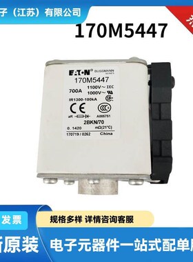 170M8506 170M8507 170M8508 170M8509原包电源陶瓷熔断器 保险丝
