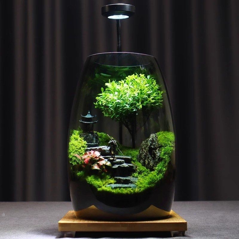 苔藓微景观生态瓶玻璃造景植物盆景办公室桌面diy盆栽装饰小摆件