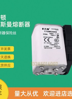 全新快速熔断器保险1i70M3967 170M3968 170M3969 170M3970