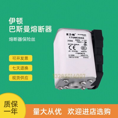 全新快速熔断器保险1i70M3967 170M3968 170M3969 170M3970