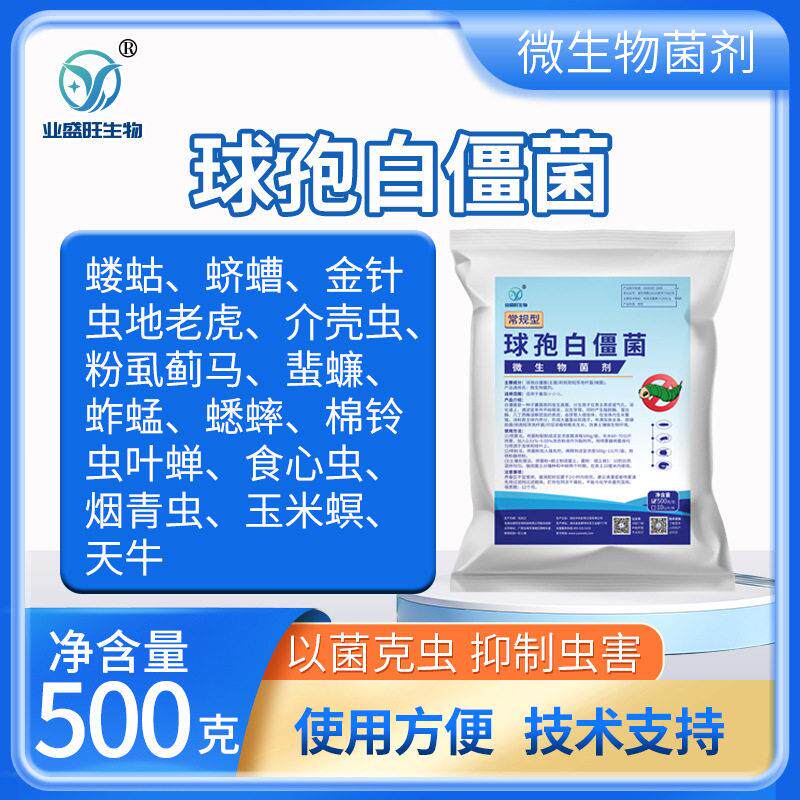 业盛旺球孢白僵菌大包装松毛虫地老虎金龟子蟑螂白蚁等多种害虫