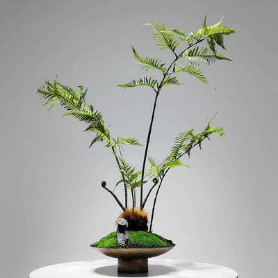 新中式仿真绿植摆件小型蕨类盆景茶室玄关客厅禅意创意桌面装饰品