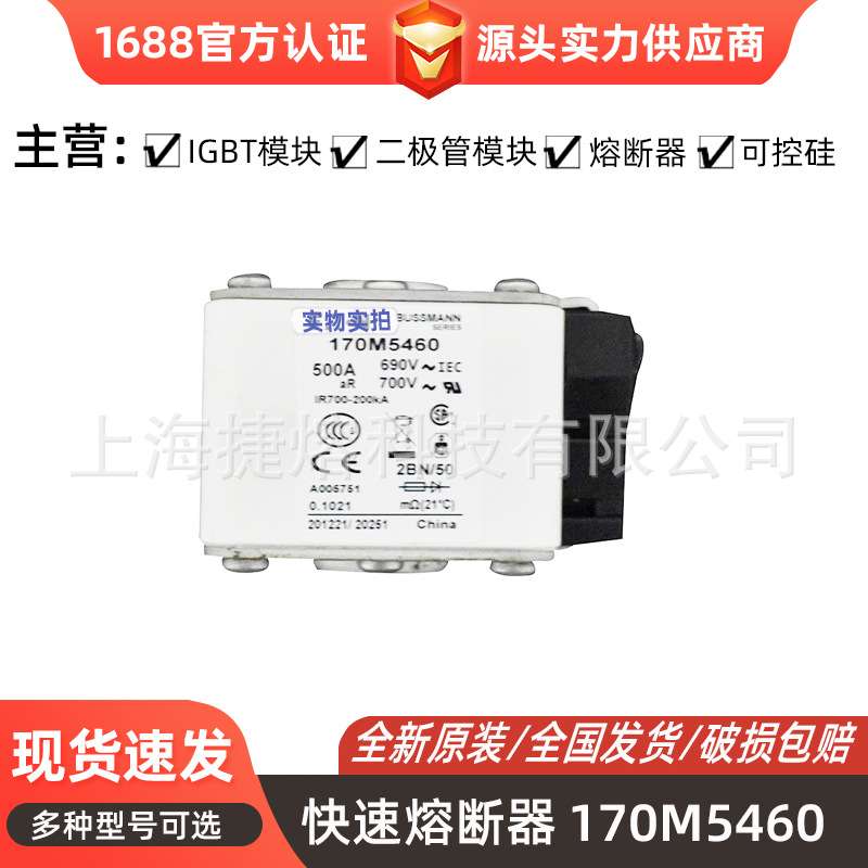 170M5460 170M5462   快速熔断器  保险丝 电子元器件 量大价优