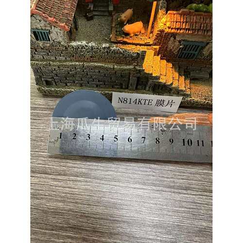 N814KTE 德国KNF原装进口防腐膜片