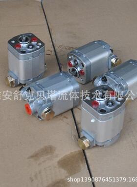 BKP0.5B5R1.50GOLO-VQ2双向液压齿轮泵