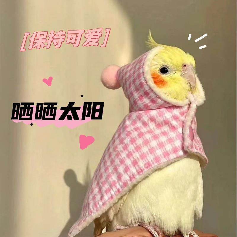玄凤纯手养宠物鸟会吹口哨会技能亲人粘人好喂养黄化可繁殖鸟