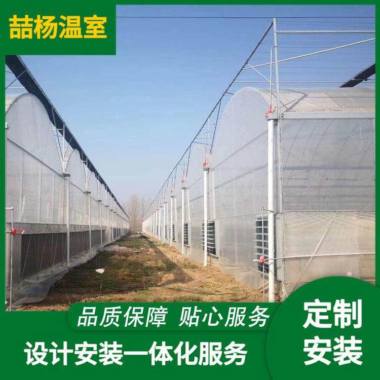 连栋薄膜温室 草莓种植大棚骨架 大棚骨架连栋 樱桃大棚,农机/农具/农膜,智能温室设备,淘宝优惠券,粉丝福利购,淘宝优惠卷