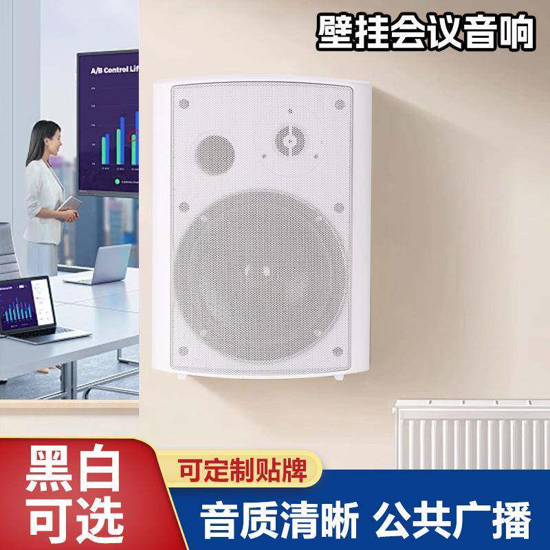 直发会议壁挂音箱教室教学音响走廊音箱广播商场店铺壁挂喇叭