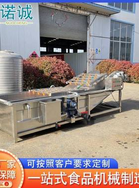 速冻蔬菜气泡翻浪清洗机喷淋式洗菜机气泡式喷淋豆角清洗设备