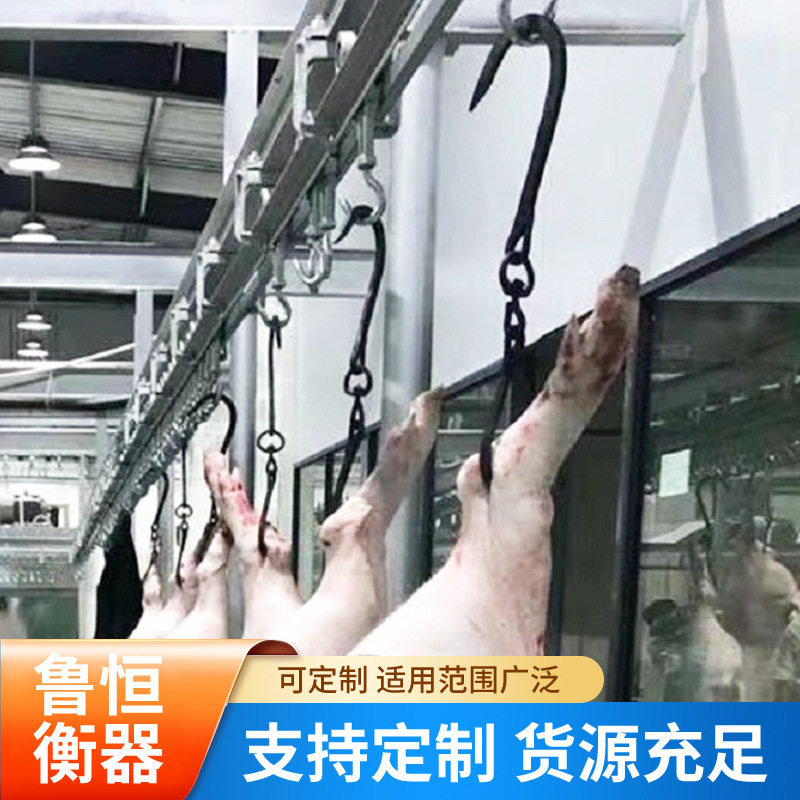 SCS系列单、双轨电子衡铁路工矿企业专用动静态轨道衡山东厂家