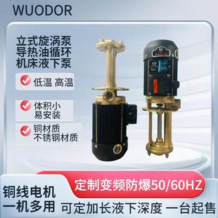 惠沃德WL 泵0.75kw铜泵体高温机床液下泵热水热油泵 150立式