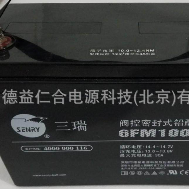 三瑞蓄电池6FM10012v100AH铅酸蓄电池