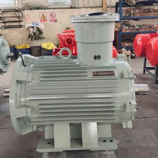 660V 2防爆电机额定电压380V 1140V额定频率50Hz 80M2 YBK3