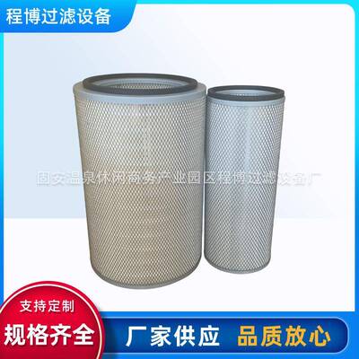 CV9685AF25276阻燃除尘滤筒空气除尘滤芯耐高温防静电