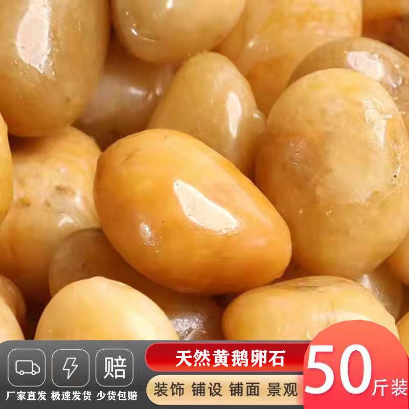 雨花石铺路50斤园林石子精天然黄抛鹅卵石花园装饰造景精品小石头