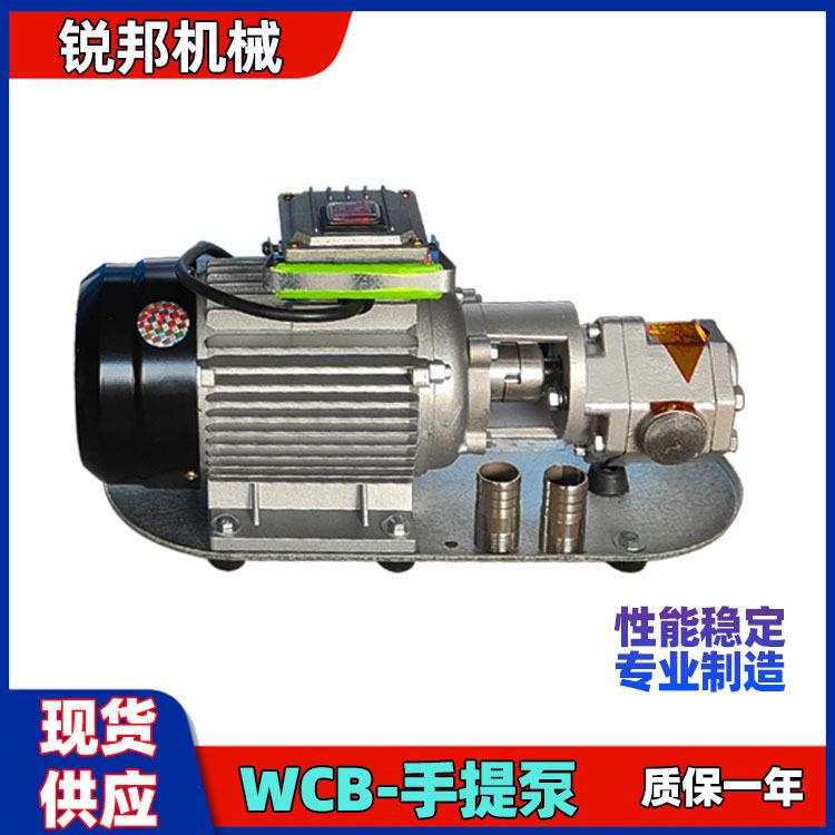 便携式不锈钢WCB50小型泵电动汽柴油齿轮抽吸化工泵