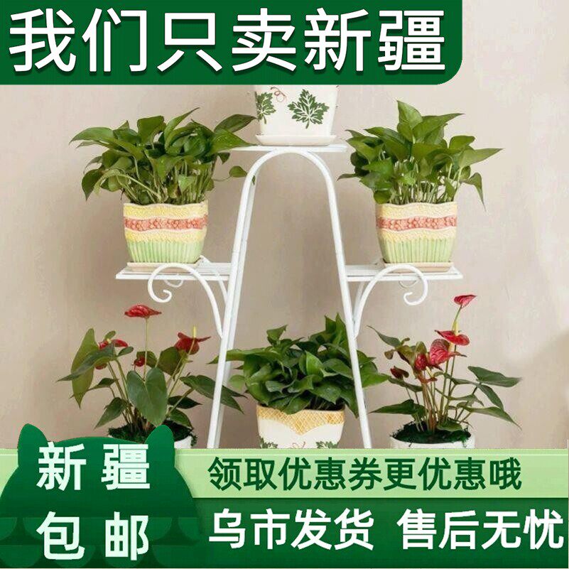 新疆包邮新款花架子多层室内阳台置物架铁艺欧式客厅绿萝花盆