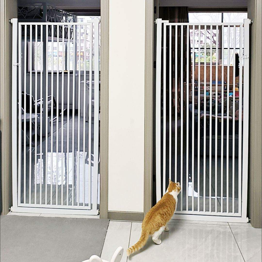 新疆包邮免打孔宠物围栏防猫咪狗狗门栏围栏栅栏隔离栏猫护拦猫咪