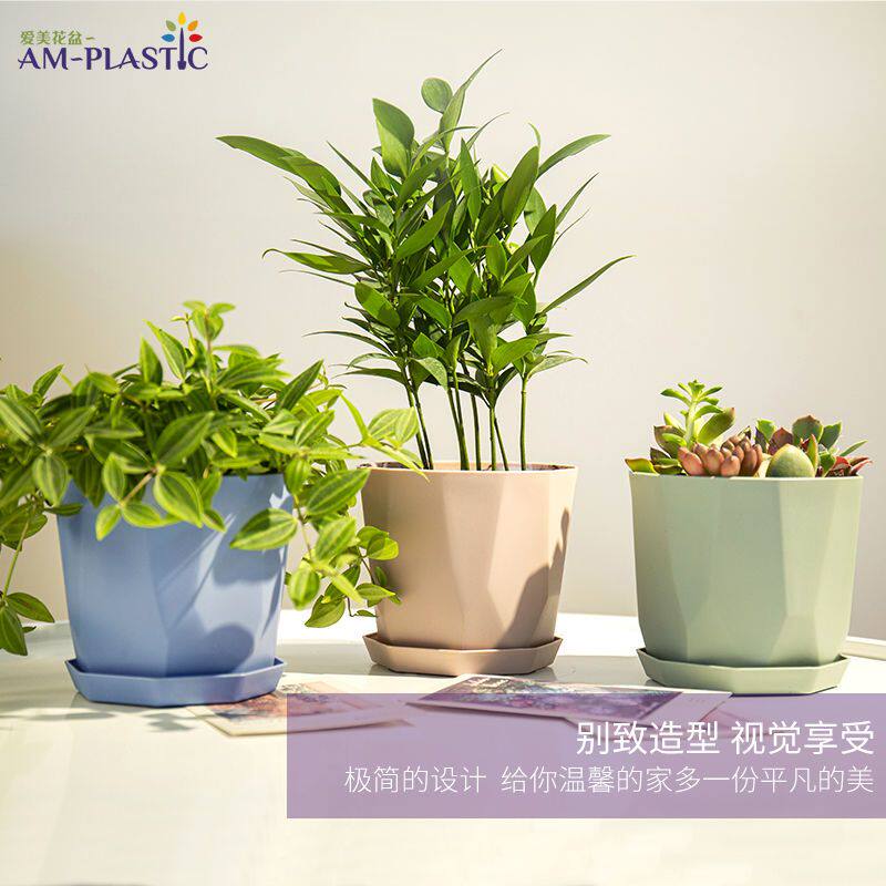 新疆包邮爱美北欧简约树