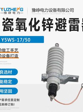 Y5WS-17/45-FT 10KV户外陶瓷氧化锌避雷器 高压阀式避雷器