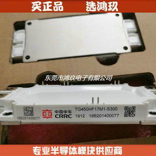 国产IGBT TG450HF17M1-S300 TG600HF12M1-S300