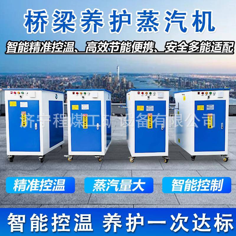 桥梁养护器电加热燃油蒸汽发生器预制水泥构件梁场桥梁养护蒸养机