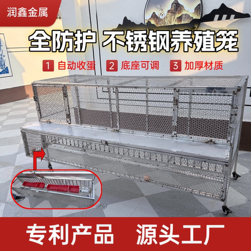 鸡笼全防护不锈钢鸡笼自动收鸡蛋家用养殖防黄鼠狼户外养殖