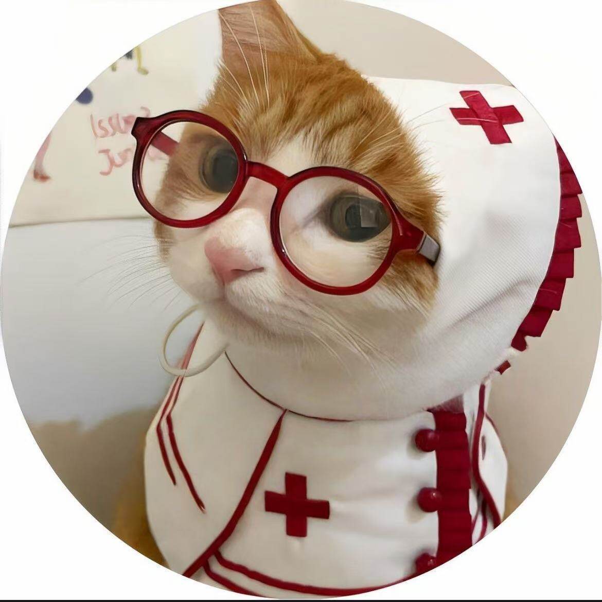 小猫吧唧可爱咪徽章搞怪5