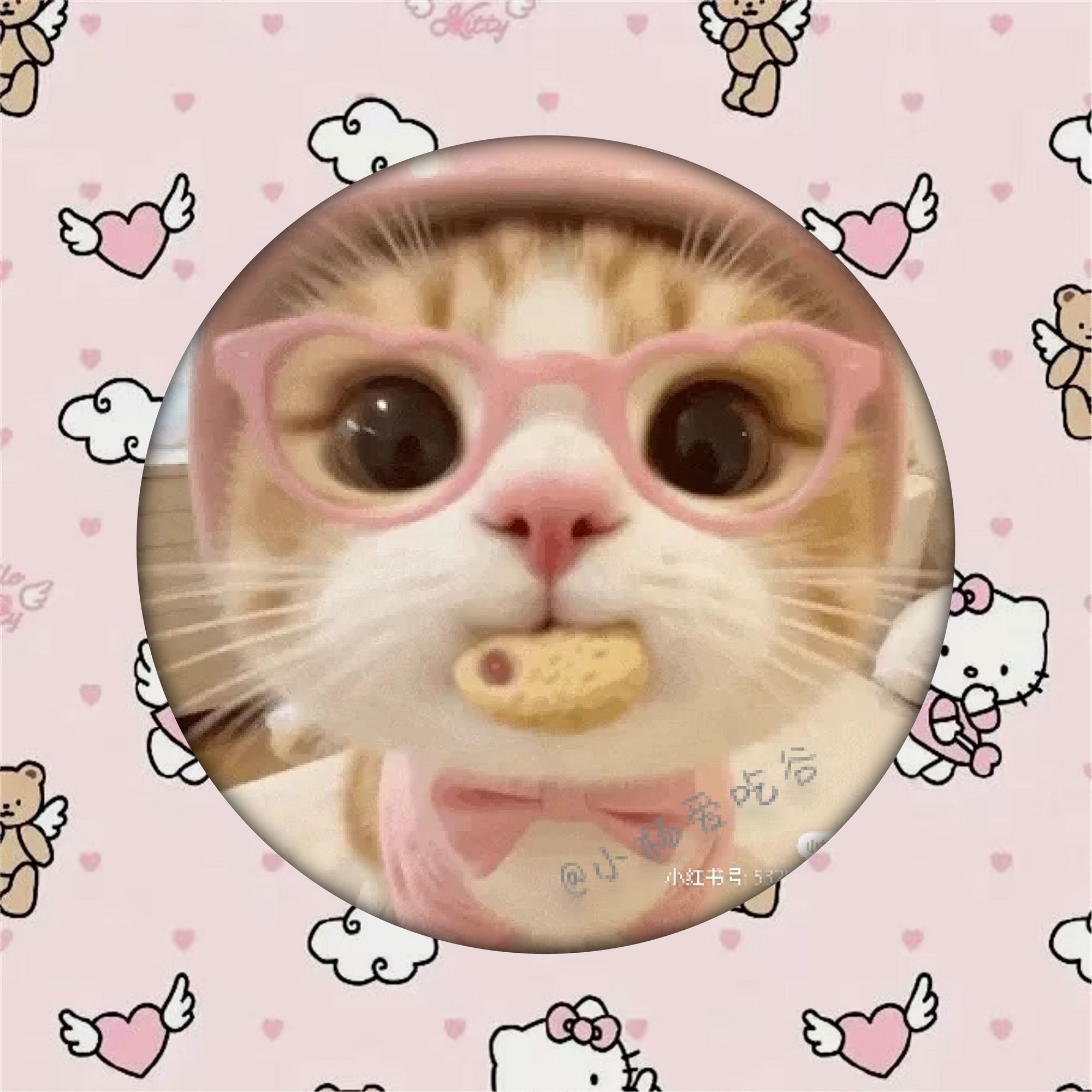 超可爱治愈系猫咪吧唧痛