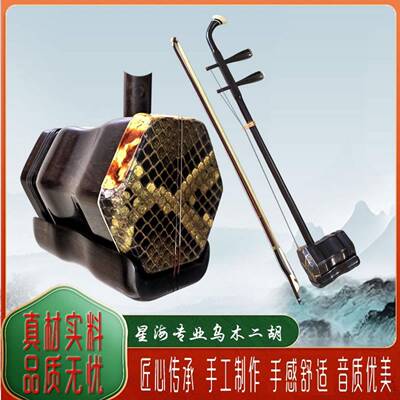 星海乌木二NTE胡初学者木乌二成人童入门演奏二胡胡儿琴