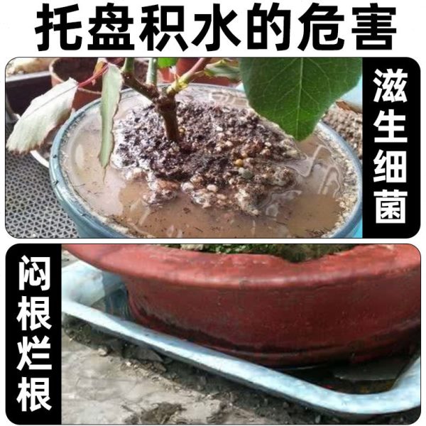 大吸水园艺工具迷你花盆托盘水神器水器抽水器大吸管积底座换滴管