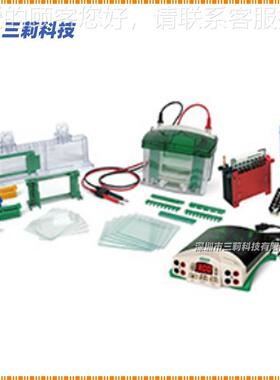 乐电泳仪Mini-PRO Bi伯o-Rad小垂直电泳转印统 型1658033蛋白系电