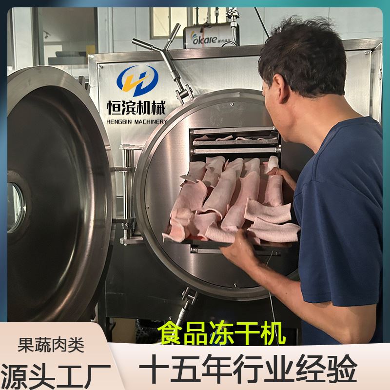 航天食品专用冻干机永生花真空冷却机食品真空冷冻干燥机厂家直销