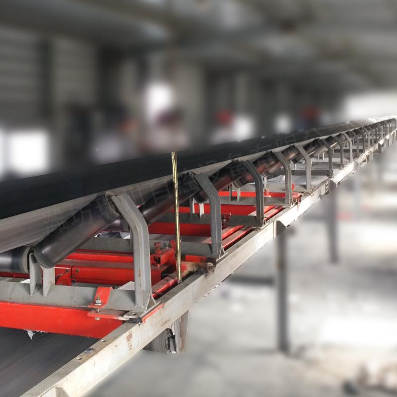 子IS电皮带RC-ICS-8秤C 定量给料皮带计量设皮带机通过式连续流量