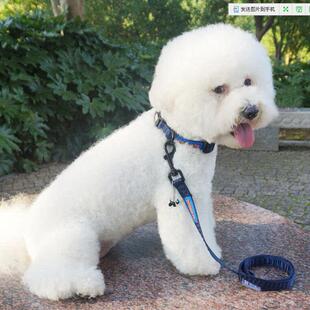 中小型犬狗狗链子宠物脖带尼龙项圈加牵引绳泰迪博美比熊金毛狗绳