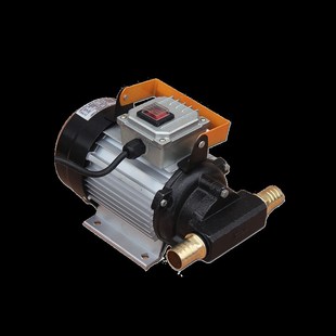 大功率大流量电动自吸机油齿轮泵抽柴油液压油泵食用油泵220v