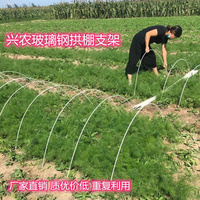 玻璃纤维小拱棚大棚骨架菜棚保温棚花棚拱杆爬藤植物架农用玻纤棒