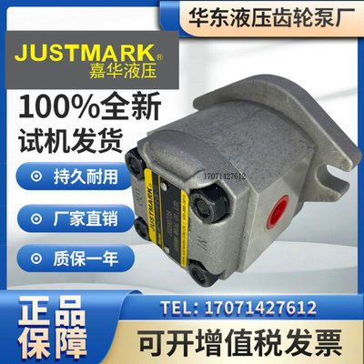 JUSTMARK售台湾嘉华GEP-1-F-1/2/3/4/5/6/8-R-X-2B-10 高压齿轮泵