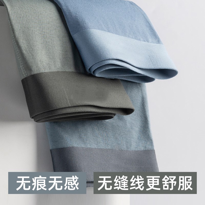 3条男士内裤无痕透气四角短裤头男式F一片式纯棉平角裤衩秋冬新款