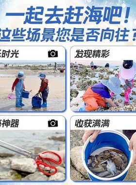 赶海专用工c具套装鲜17209561童成人装备儿神器大耙挖蛤子蜊海挖