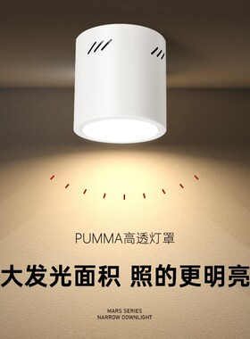 明装筒灯圆形走廊灯吸顶式lved天花灯过道玄关灯射灯餐厅客厅厨房