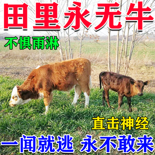 驱牛神器【1秒牛逃】驱羊牛鼠农田果园庄稼地专用驱鸟香包永无牛