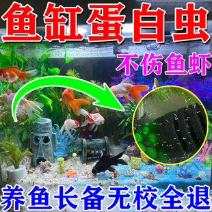 鱼缸除蛋白虫清除剂观赏鱼除寄生虫线虫不伤鱼净水杀菌鱼用敌百虫
