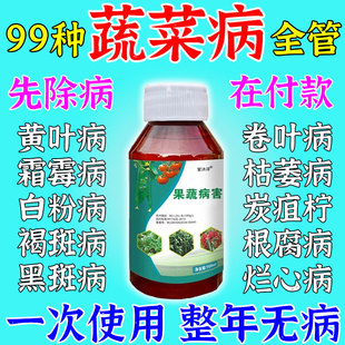 果蔬病害杀菌剂蔬菜瓜果果蔬病白粉斑霉软腐黄叶霜霉病特效专用药
