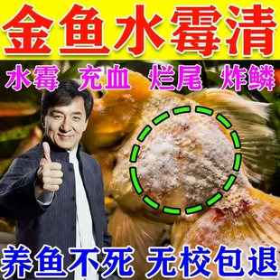 庆大霉素鱼用鱼药烂身烂尾炸鳞充血腹水肠炎水霉病锦鲤金鱼病专用
