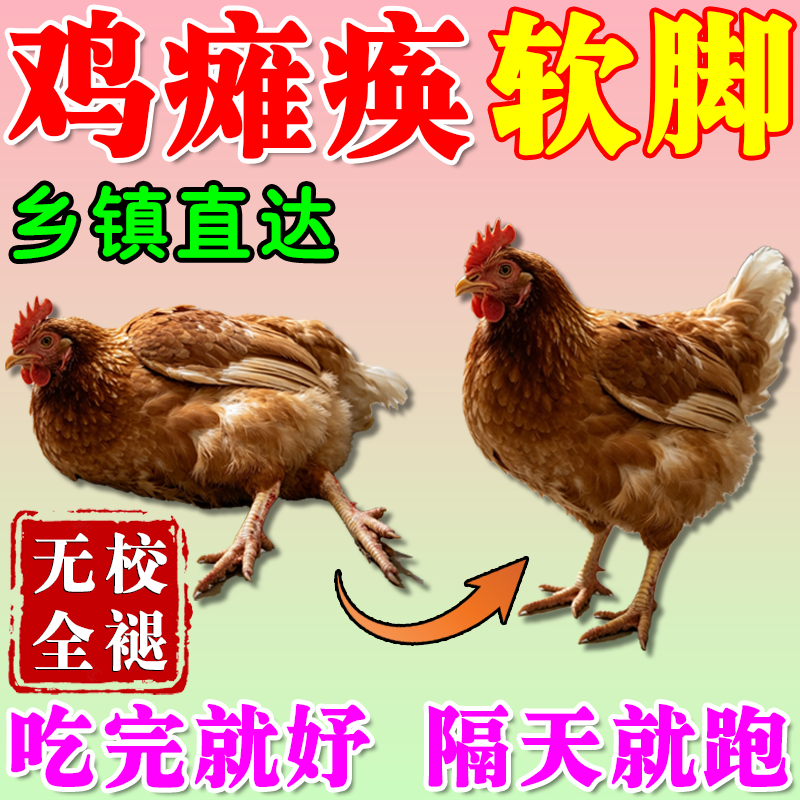 鸡瘫痪站不起来软脚药专冶鸡鸭鹅饲料添加剂