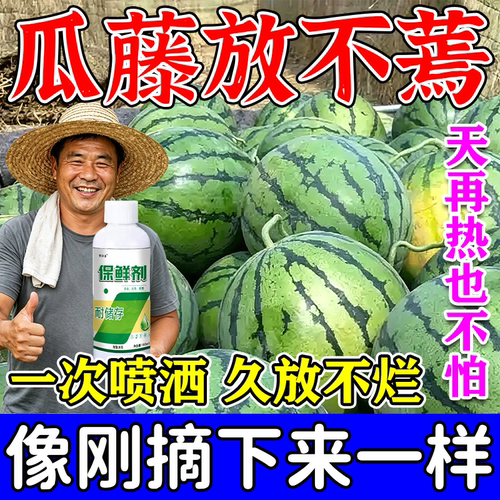 水果蔬菜专用保鲜剂食品延长储存防腐烂蔫安全食品级喷雾浸泡液W