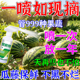 瓜藤保鲜剂超市水果蔬菜专用防腐烂抗氧化保鲜剂无毒延长储存神器