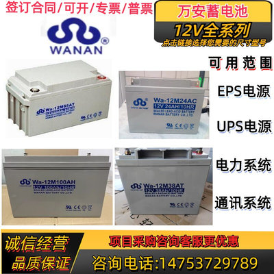 利达消防主机蓄电池Wa-12M55AWa12V7A12A14A17A24A38A55A65A100AH