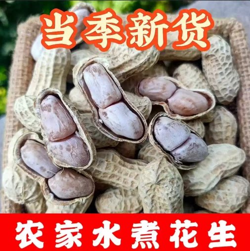 农家龙岩水煮日晒白晒花生果仁白嫩扎实有嚼劲水煮花生休闲